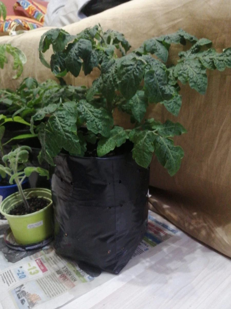 Пакеты 5 литра в использовании